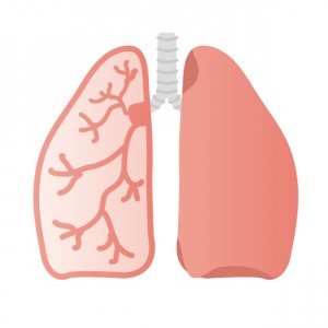 肺がんのイメージ